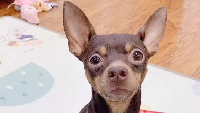 这回赚大了吧。（接上一视频）