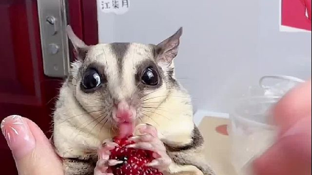 自家种的，咋还不喜欢吃呢！不吃就算了，也不还给我