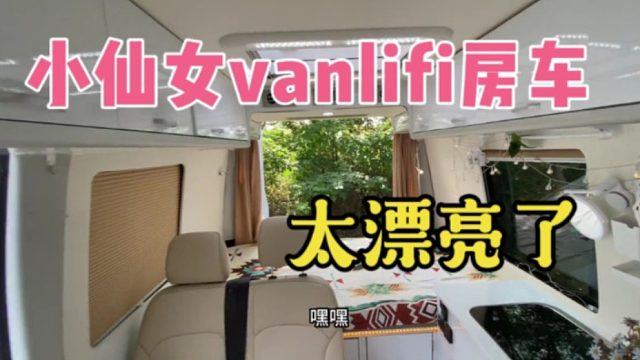 小仙女的vanlifi房车，二手车市场来了狠人，这也太漂亮了