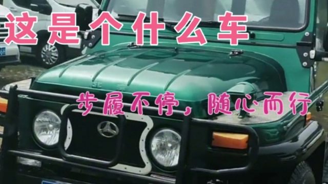这到底是个什么车，车贩子都看呆了没见过啊，收车难度越来越大了