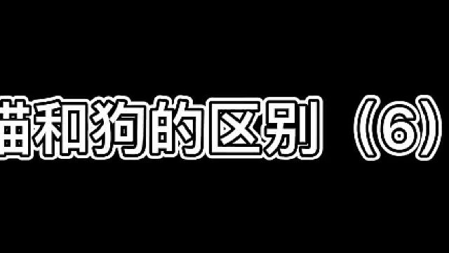你们猜橙子有没有被吃？#铲屎官的乐趣 #铲屎官能有什么坏心眼 #猫和狗的区别