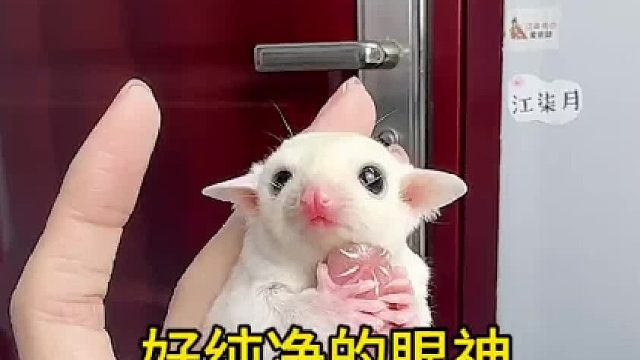 天天在眼皮底下，还是感觉一眨眼就长大了