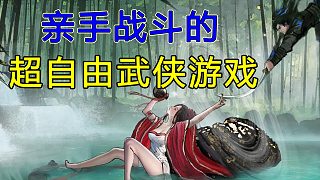 所以武俠游戲的盡頭是......自己成為高手？