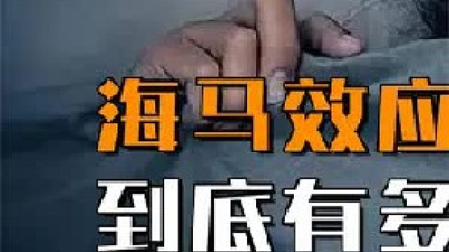 为什么总感觉某个瞬间，自己经历过？海马效应到底有多可怕？ 1