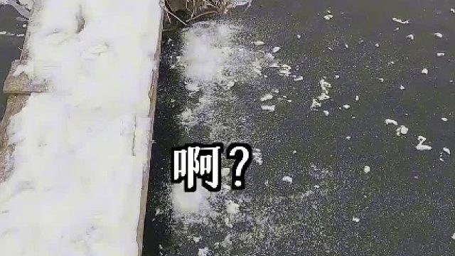 热心钓友发现东北火山河流鱼情暴躁，帅小伙立马带女友前往。。