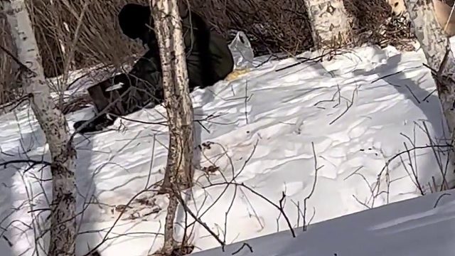 挑战流浪100天 第58天 智救小布