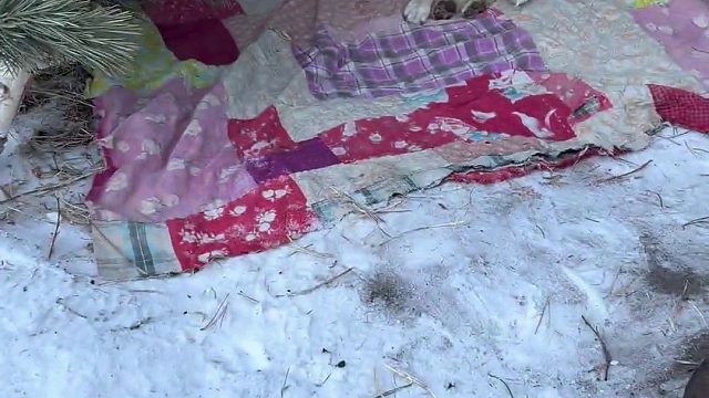 挑战流浪100天 第59天 吃饺子咯～