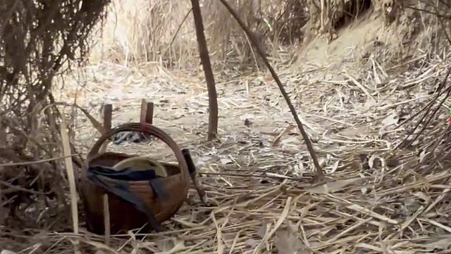 挑战流浪100天 第64天 装修宫殿