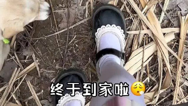 挑战流浪100天 第65天 发家致富