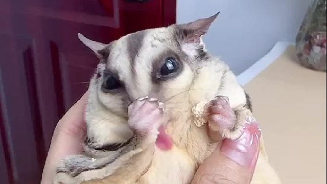 突然吃那么大声，给我整笑了。