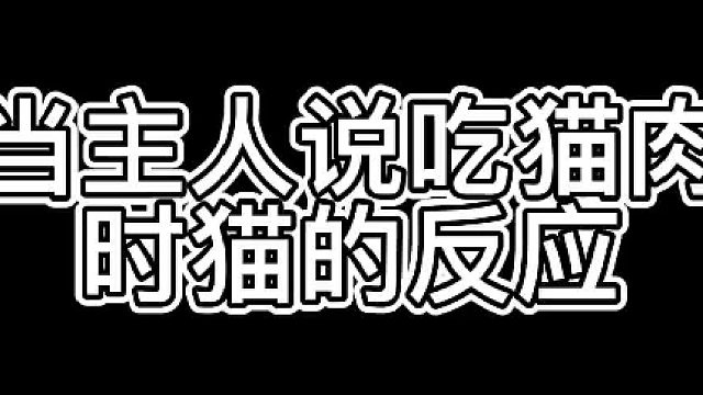 我算看出来了，家里的猫心眼子都挺多。#猫咪的迷惑行为