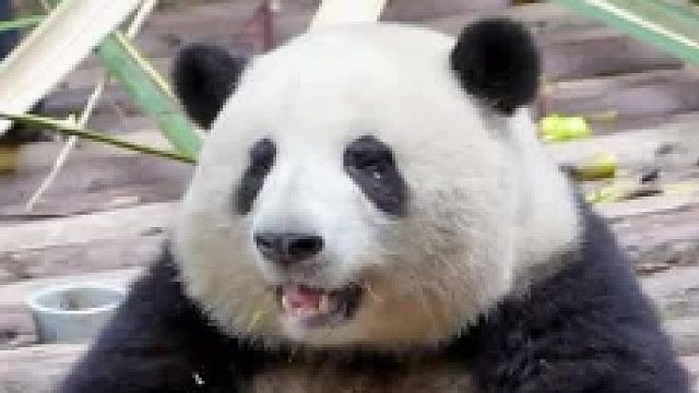 上班时间要称呼职称哦~