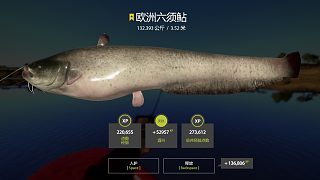 4月25日，神經(jīng)星豬。