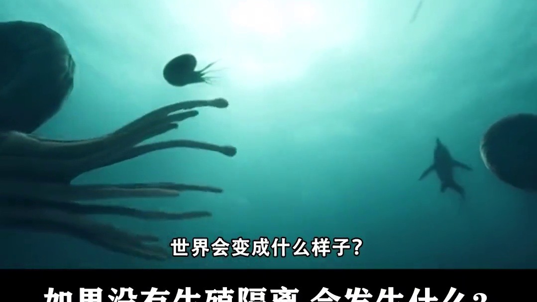 为什么人和动物之间有生殖隔离？如果没有，世界会变得多恐怖 3