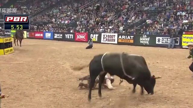 奖金百万！恐怖的骑牛挑战，危险时刻发生。