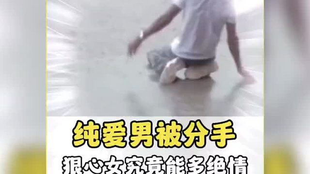 百无一用是深情 负心尽是读书人 我真的哭了！