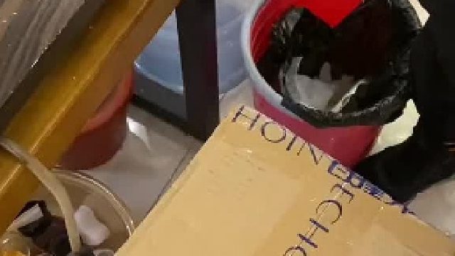 #蜜袋鼯 小怪兽登场～