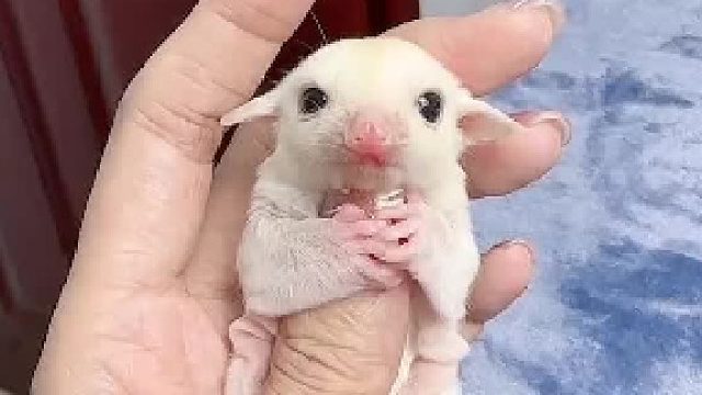 天天看都看不出来长大了。