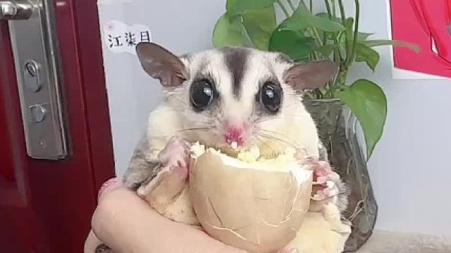 也不知道这个小脑袋瓜子在想什么