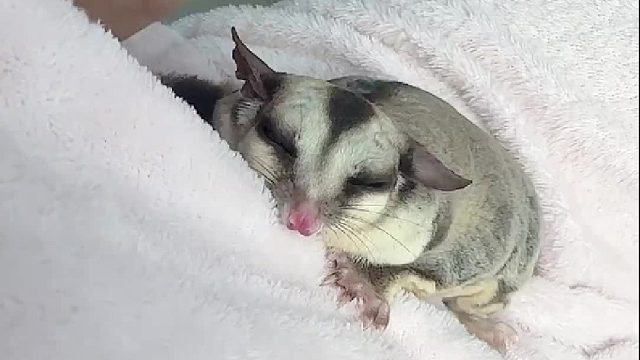 在热爱里，很慢，很蹋实，普通人，普通生活普通过！