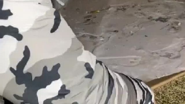 新的一年万物更新，旧疾当愈，各位老板牛气冲天！