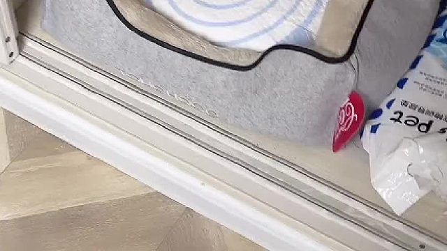 昨天少一个，今天一个也没给豆花留啊。#猫咪的迷惑行为 #小奶猫的成长日记