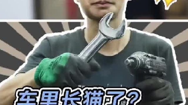 拆车救猫，我相信汽修人都遇到过这种情况吧