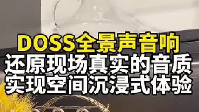 为你带来极致音乐享受：DOSS全景声音箱