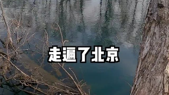 得知我和小王在找胳膊大的马口，广州好大哥推荐了个巨物横行的小镇...