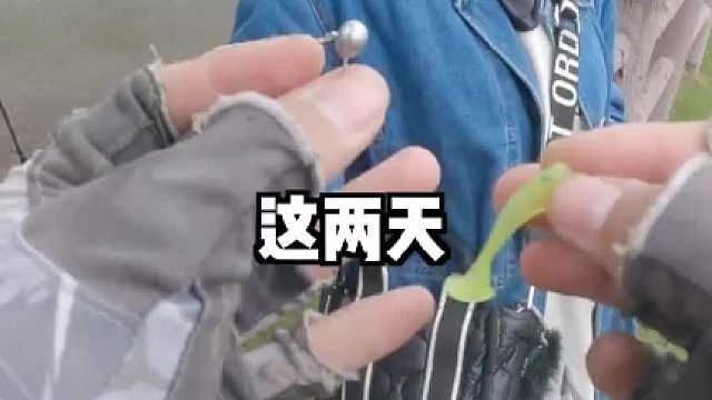 为黑坑老板说句话，女生收费比男生便宜确实不太合理
