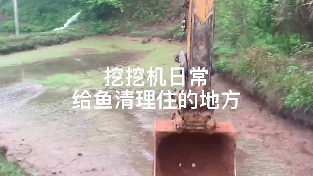 #挖掘机 #挖挖机日常 #挖机实战教学 #挖机视角 来咯 来咯 老板发出来geigeigei怪笑