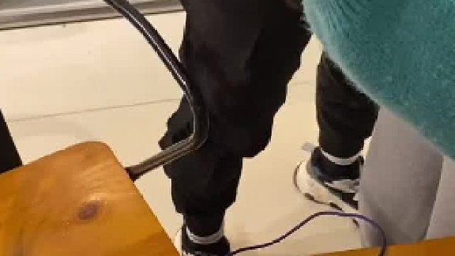 #家有萌宠 不听话就用我的手法安排一顿就好了～人人都有小萌宠