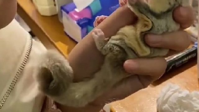 喜欢和小宝儿这种互动的有多少，大声说出来