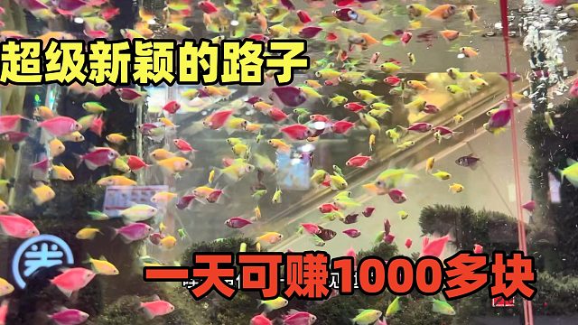 拿货8块卖50块，找客流量大的，一天轻松破1000多块，新颖来钱快