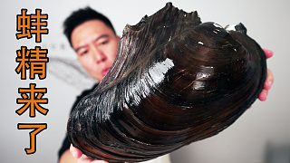 快成精的巨大河蚌，一个6斤多，能咬的动吗？