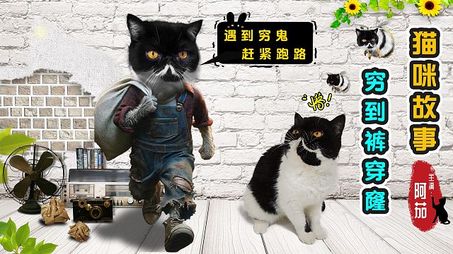 猫咪看到铲屎官穷到叮当响，密谋逃离家园