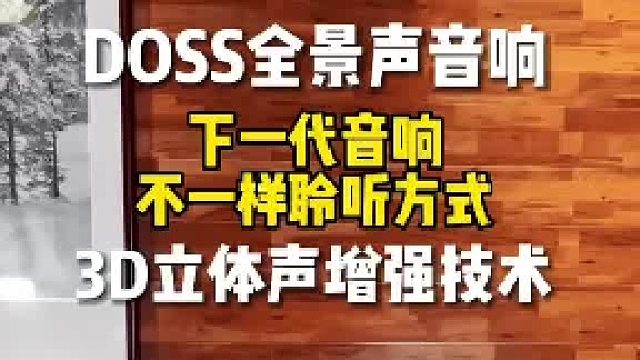 让你在家中也能享受音乐的极致魅力：DOSS全景声音箱