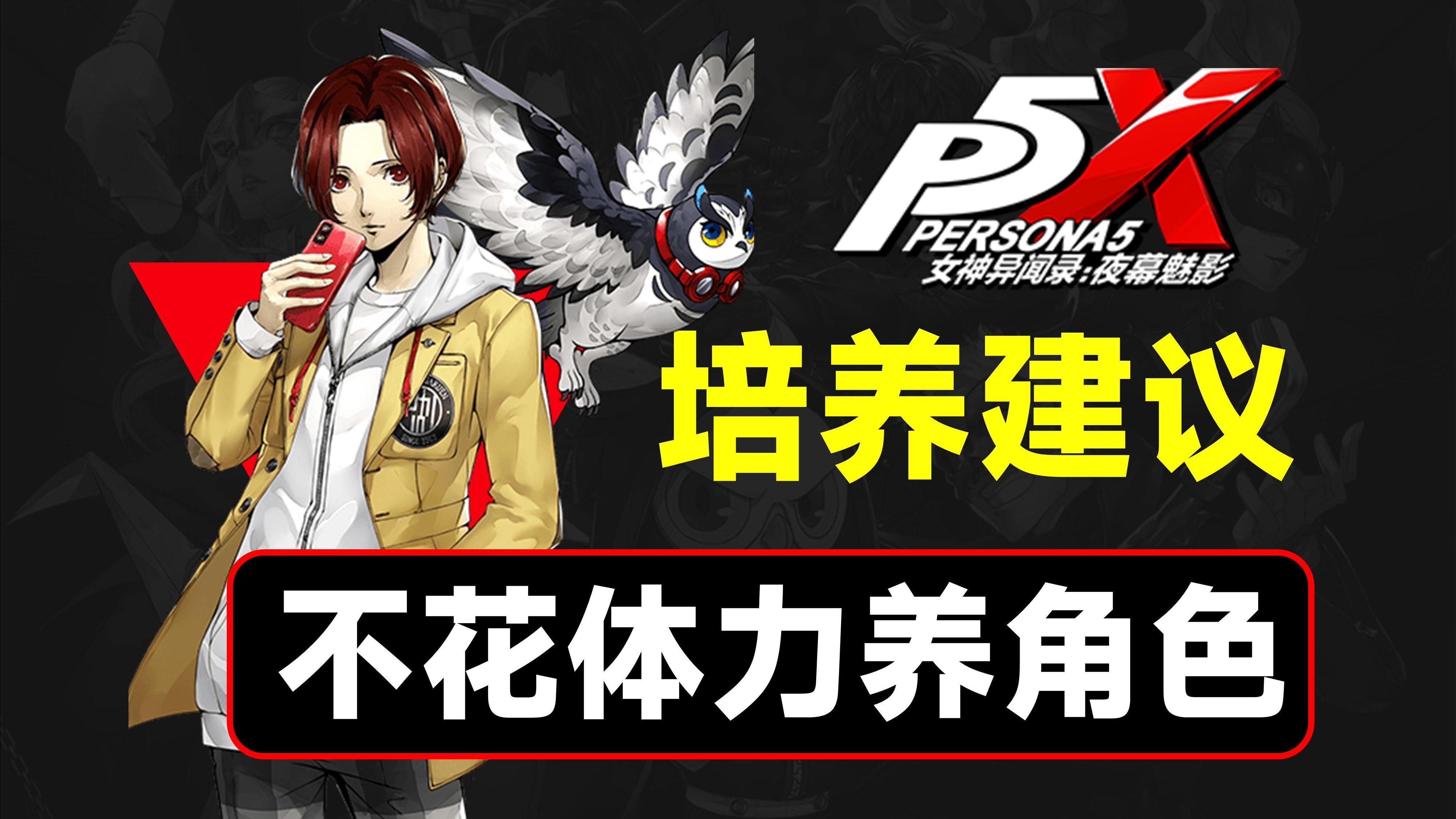 不花体力培养角色，提升怪盗整体练度【P5X】