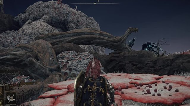 艾尔登法环！死亡仪式鸟-掉落死亡钩棒