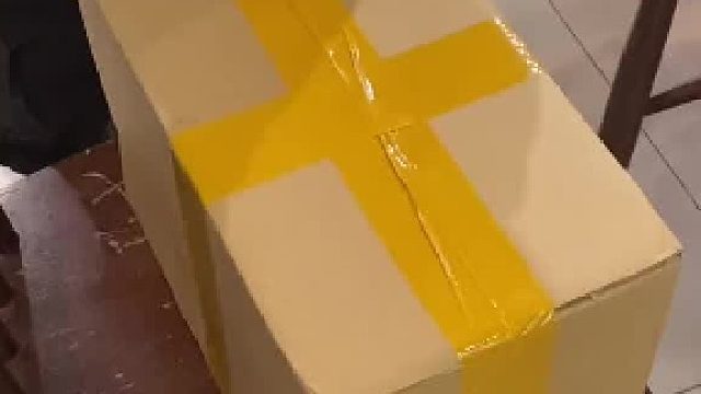 #小火龙 真名叫做#豹纹守宫 #开箱视频