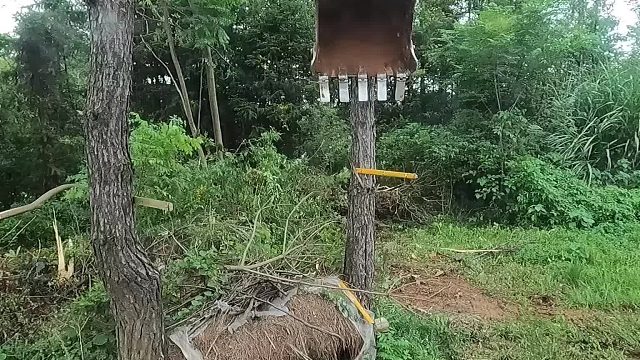 #挖机 整平，硬化，晒稻谷