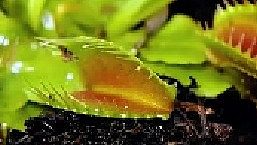 .這些防蚊蟲小妙招，學(xué)會(huì)了一掃多年夏日煩惱！