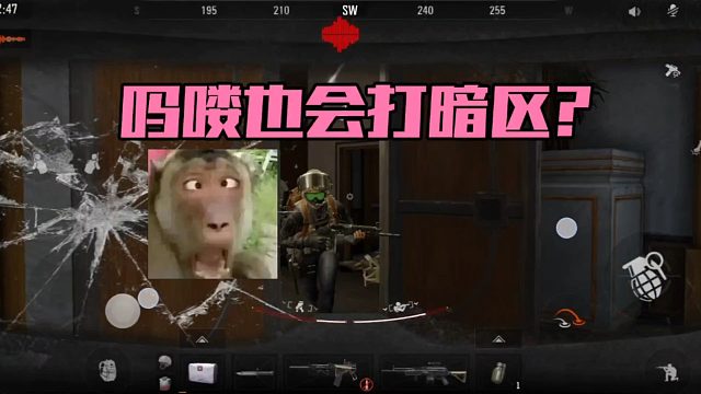 暗区突围：吗喽也会打暗区？