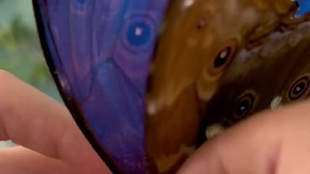 我发布了一个新视频，快来围观吧！