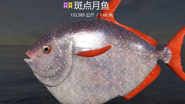 80坑星斑点月鱼