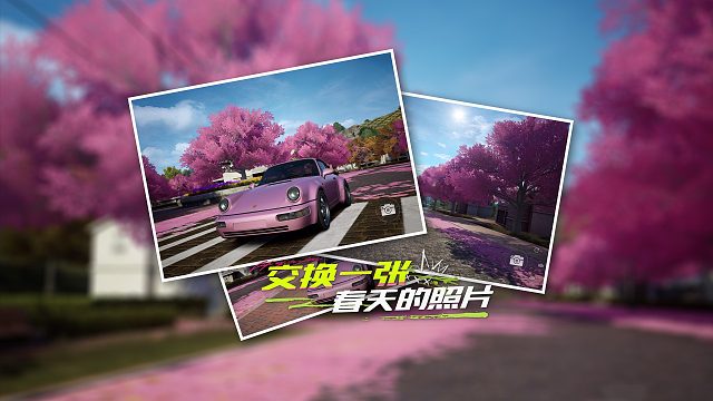 交换一张春天的照片