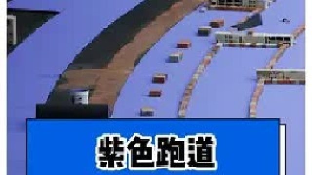 又整活？号称最高科技跑道——紫色跑道，是真是假？