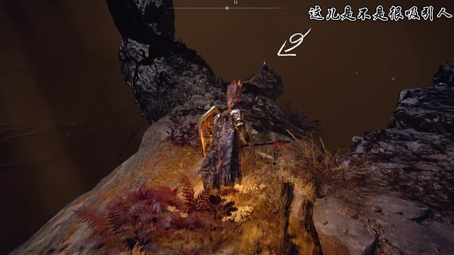 艾尔登法环！有没有和我一样在这里说了句“卧槽”的