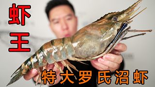 虾王来了，一只1斤比手臂还粗的罗氏沼虾，碳烤整只抱着啃过瘾