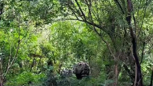 有幸见到两位女明星